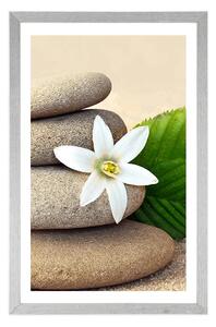 Plakat z passe-partout biały kwiat i kamienie na piasku