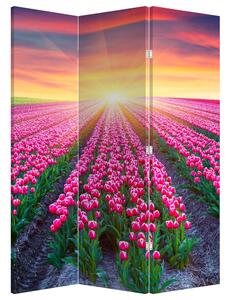 Parawan - Pole tulipanów ze Słońcem (126x170 cm)