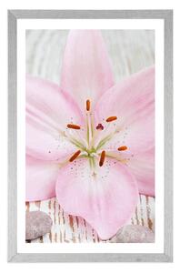 Plakat z passe-partout różowa lilia i kamienie Zen