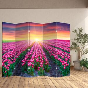 Parawan - Pole tulipanów ze Słońcem (210x170 cm)