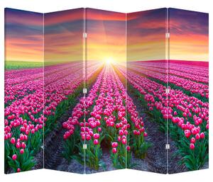 Parawan - Pole tulipanów ze Słońcem (210x170 cm)