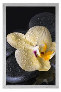 Plakat Kamienie Zen z żółtą orchideą