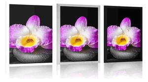 Plakat z passe-partout górska fioletowa orchidea na kamieniach Zen