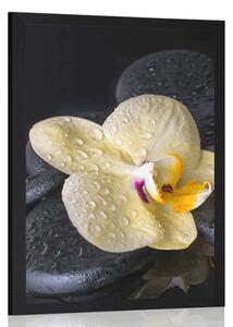 Plakat Kamienie Zen z żółtą orchideą