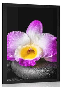 Plakat z passe-partout górska fioletowa orchidea na kamieniach Zen