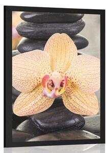 Plakat żółta orchidea i kamienie Zen