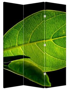 Parawan - Zielony liść (126x170 cm)