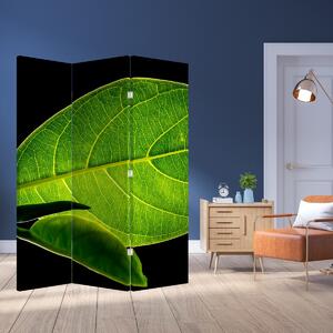 Parawan - Zielony liść (126x170 cm)