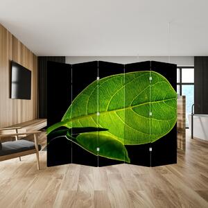 Parawan - Zielony liść (210x170 cm)