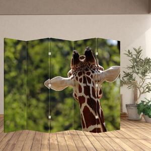 Parawan - Żyrafa z tyłu (210x170 cm)