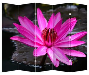 Parawan - Różowy kwiat (210x170 cm)