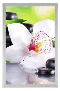 Plakat Japońska orchidea