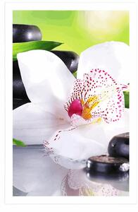 Plakat Japońska orchidea