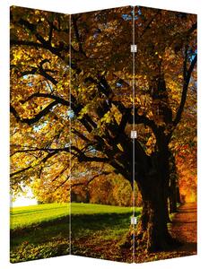 Parawan - Jesienne drzewo (126x170 cm)
