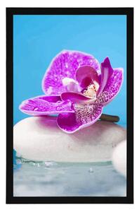Plakat orchidea i kamienie zen