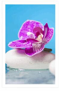 Plakat orchidea i kamienie zen