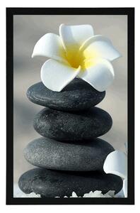 Plakat harmonijne kamienie i kwiat plumerii