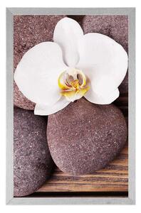 Plakat kamienie wellness i orchidea na drewnianym tle
