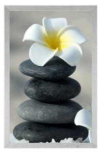 Plakat harmonijne kamienie i kwiat plumerii