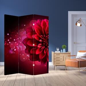 Parawan - Czerwony kwiat (126x170 cm)