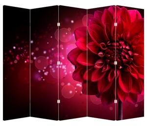 Parawan - Czerwony kwiat (210x170 cm)