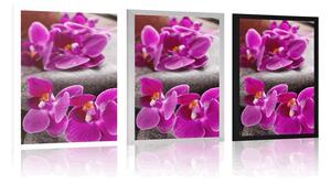Plakat piękna orchidea i kamienie Zen