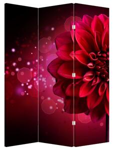 Parawan - Czerwony kwiat (126x170 cm)