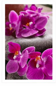 Plakat piękna orchidea i kamienie Zen