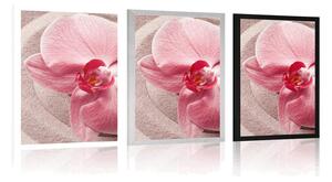 Plakat morski piasek i różowa orchidea