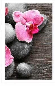 Plakat elegancka kompozycja z kwiatami orchidei