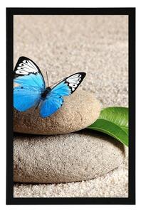 Plakat niebieski motyl na kamieniu Zen
