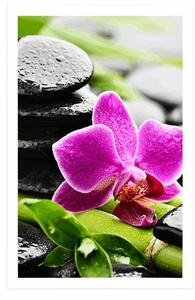 Plakat wellness martwa natura z fioletową orchideą