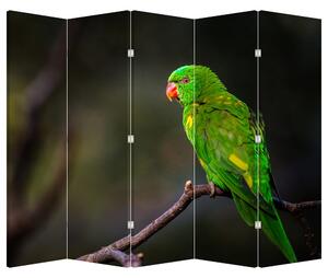 Parawan - Papuga na gałęzi (210x170 cm)
