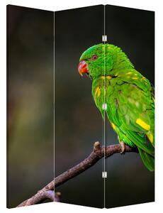 Parawan - Papuga na gałęzi (126x170 cm)
