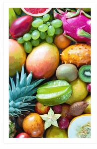 Plakat tropikalne owoce