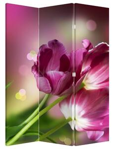 Parawan - Różowe tulipany (126x170 cm)