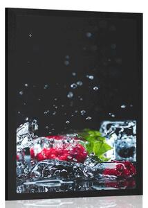 Plakat owocowe lodowe kostki