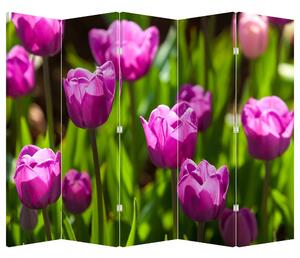 Parawan - Tulipany na łące (210x170 cm)