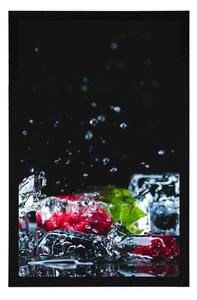 Plakat owocowe lodowe kostki