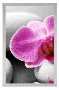 Plakat kwiaty orchidei na białych kamieniach