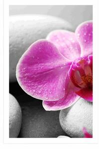 Plakat kwiaty orchidei na białych kamieniach