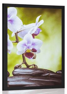 Plakat kamienie zen i orchidea