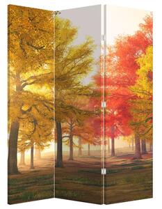 Parawan - Jesienne drzewa (126x170 cm)