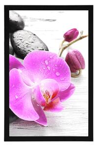 Plakat magiczna gra kamieni i orchidei