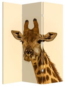 Parawan - Żyrafa (126x170 cm)