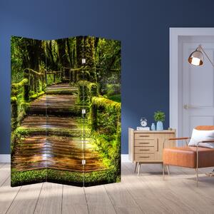 Parawan - Schody w lesie deszczowym (126x170 cm)