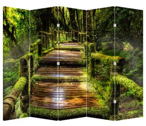 Parawan - Schody w lesie deszczowym (210x170 cm)