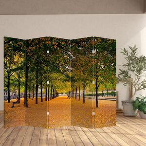 Parawan - Aleja jesiennych drzew (210x170 cm)