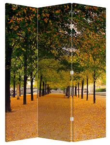 Parawan - Aleja jesiennych drzew (126x170 cm)