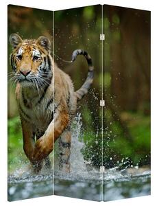 Parawan - Biegnący tygrys (126x170 cm)
